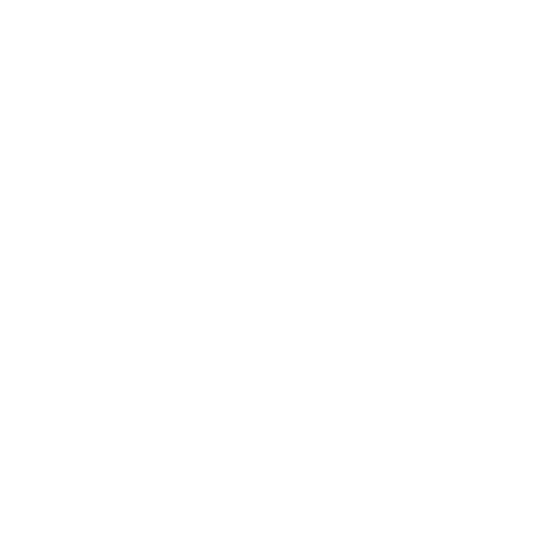 icon-logo-w